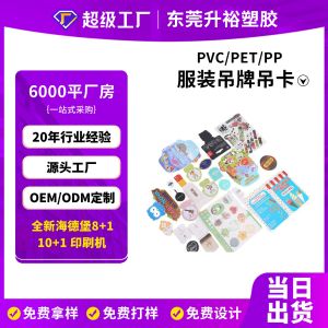 PVC飞机孔挂钩透明