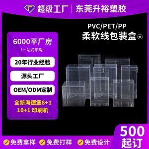 定制 PET 印刷胶盒 PVC 塑料包装盒